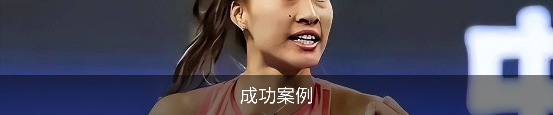成功案例