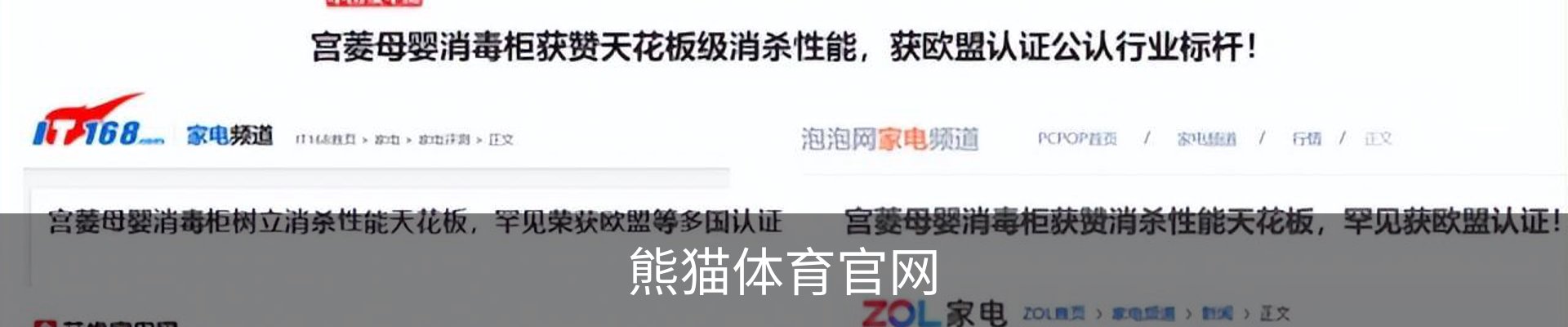 熊猫体育官网